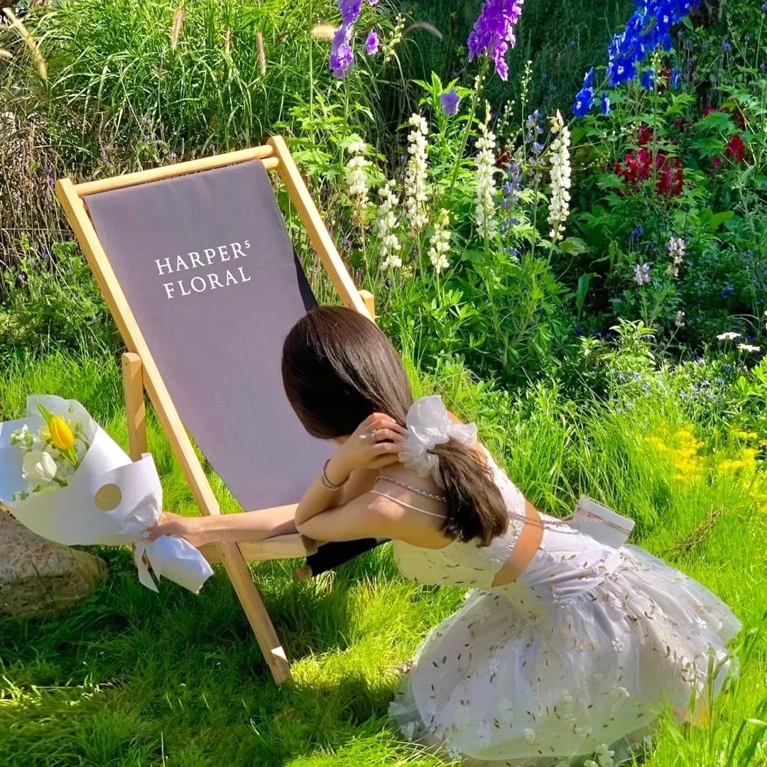 灰姑娘的魔法衣橱