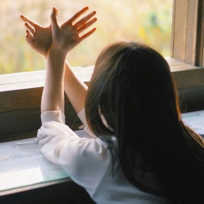 终于等到你$你是我的木槿年华